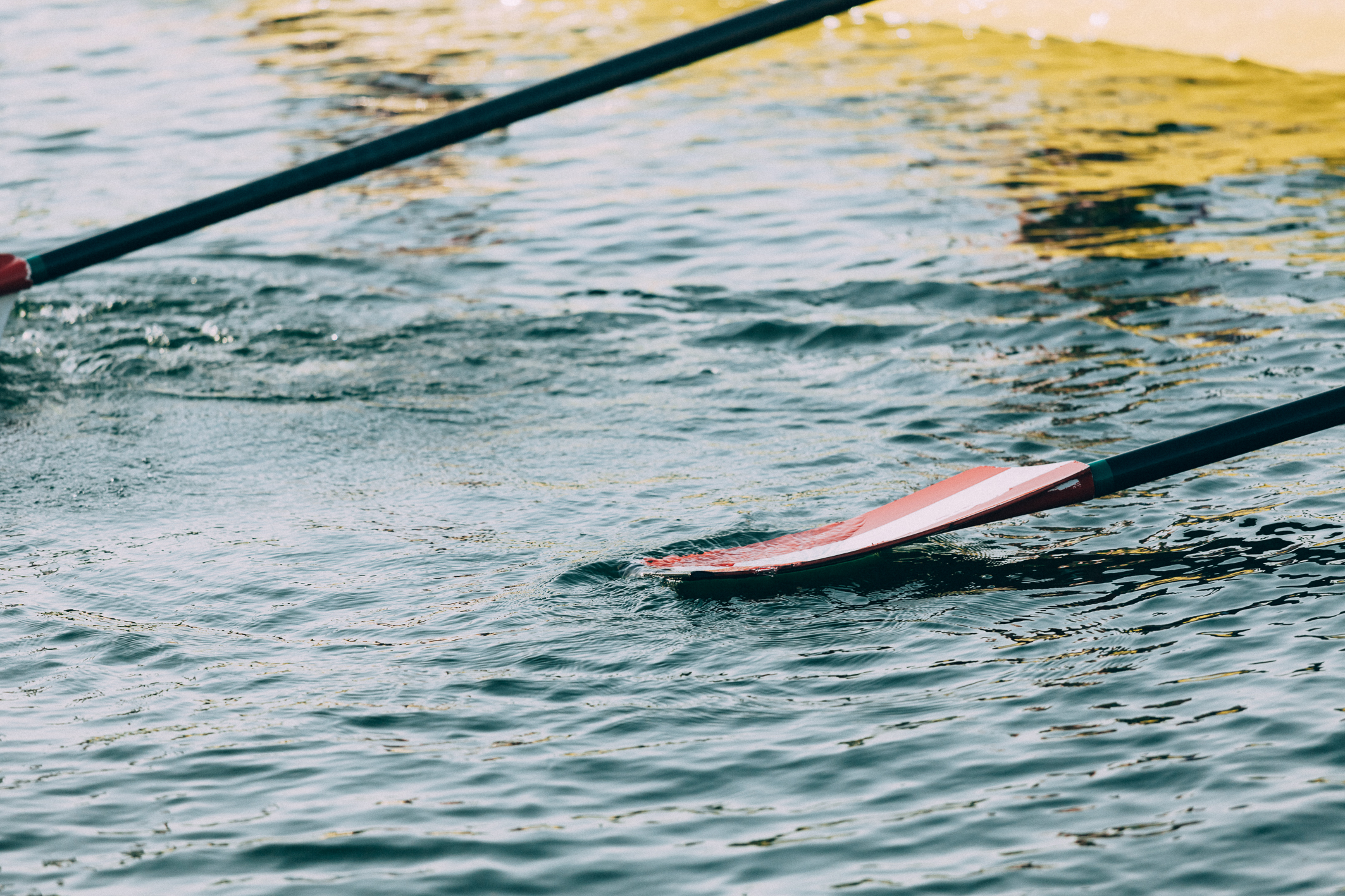 Mehr über den Artikel erfahren Nominierung Coupe de la Jeunesse