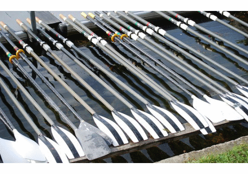 Mehr über den Artikel erfahren Meldeergebnis Ellida Sprintregatta Online