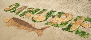 Mehr über den Artikel erfahren Mitmachen beim Kreativwettbewerb „Danube Art Master“