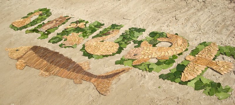 Mehr über den Artikel erfahren Mitmachen beim Kreativwettbewerb „Danube Art Master“