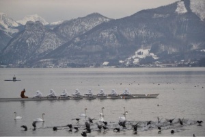 Mehr über den Artikel erfahren …..ich wollte ein Eisbär sein……….