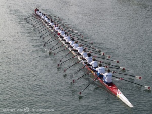 Mehr über den Artikel erfahren Junior:innen Projekt 2024