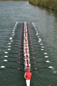 Mehr über den Artikel erfahren Absage Rudertag