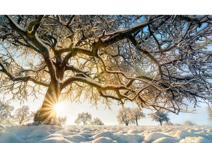 Mehr über den Artikel erfahren Weihnachts- und Neujahrsgrüße