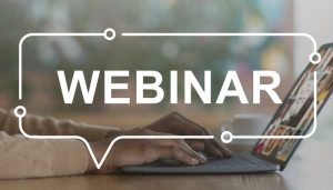 Mehr über den Artikel erfahren Webinar „Grundlagen guter Rudertechnik“ – Breitensport