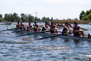 Mehr über den Artikel erfahren Wienerachter Reloaded