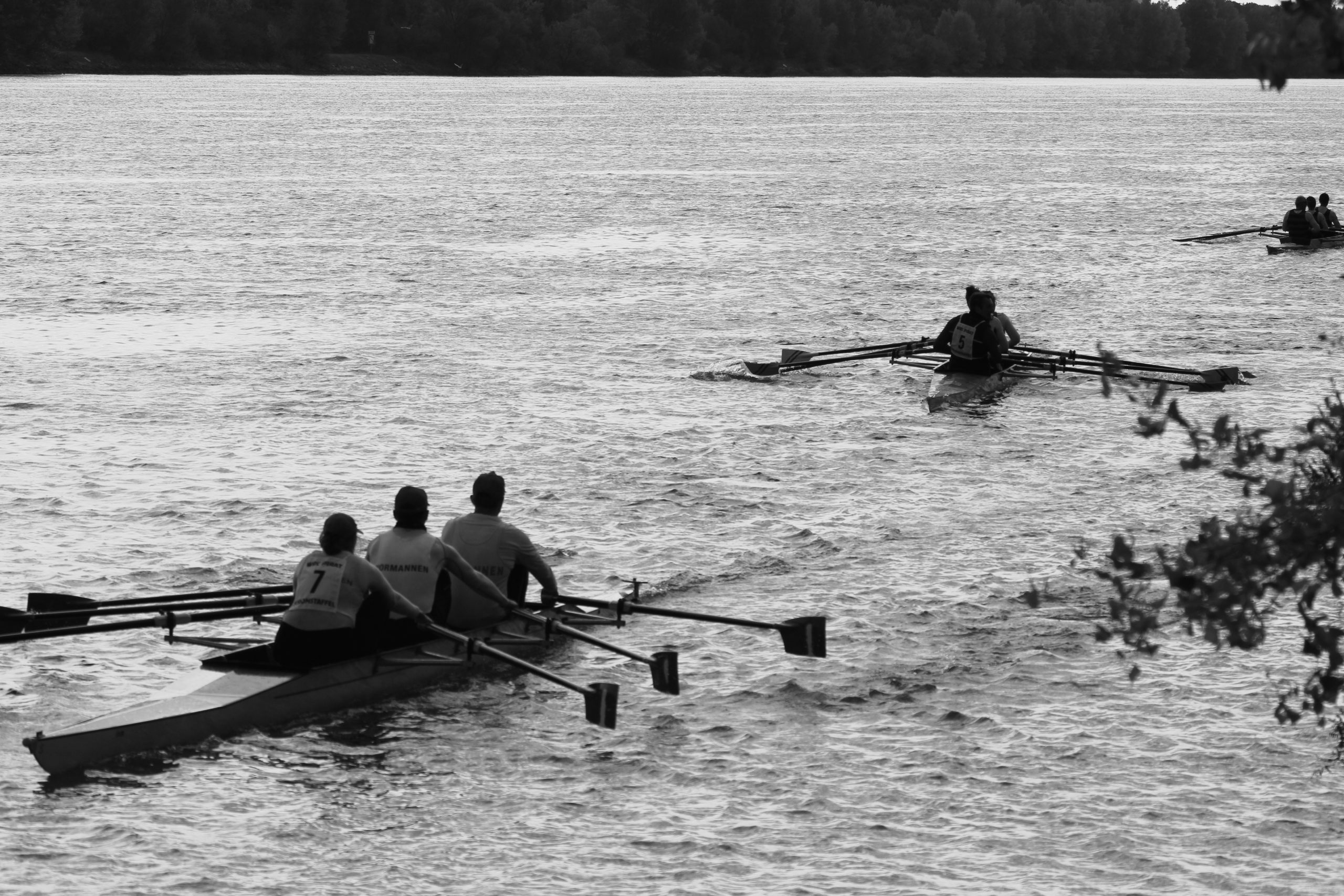 Du betrachtest gerade Webinar „Rudern in kalten Gewässern“