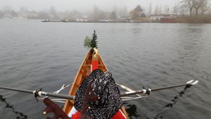 Mehr über den Artikel erfahren Tolles Echo bei Webinar