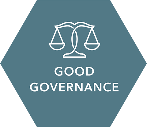 Du betrachtest gerade Good Governance Preis