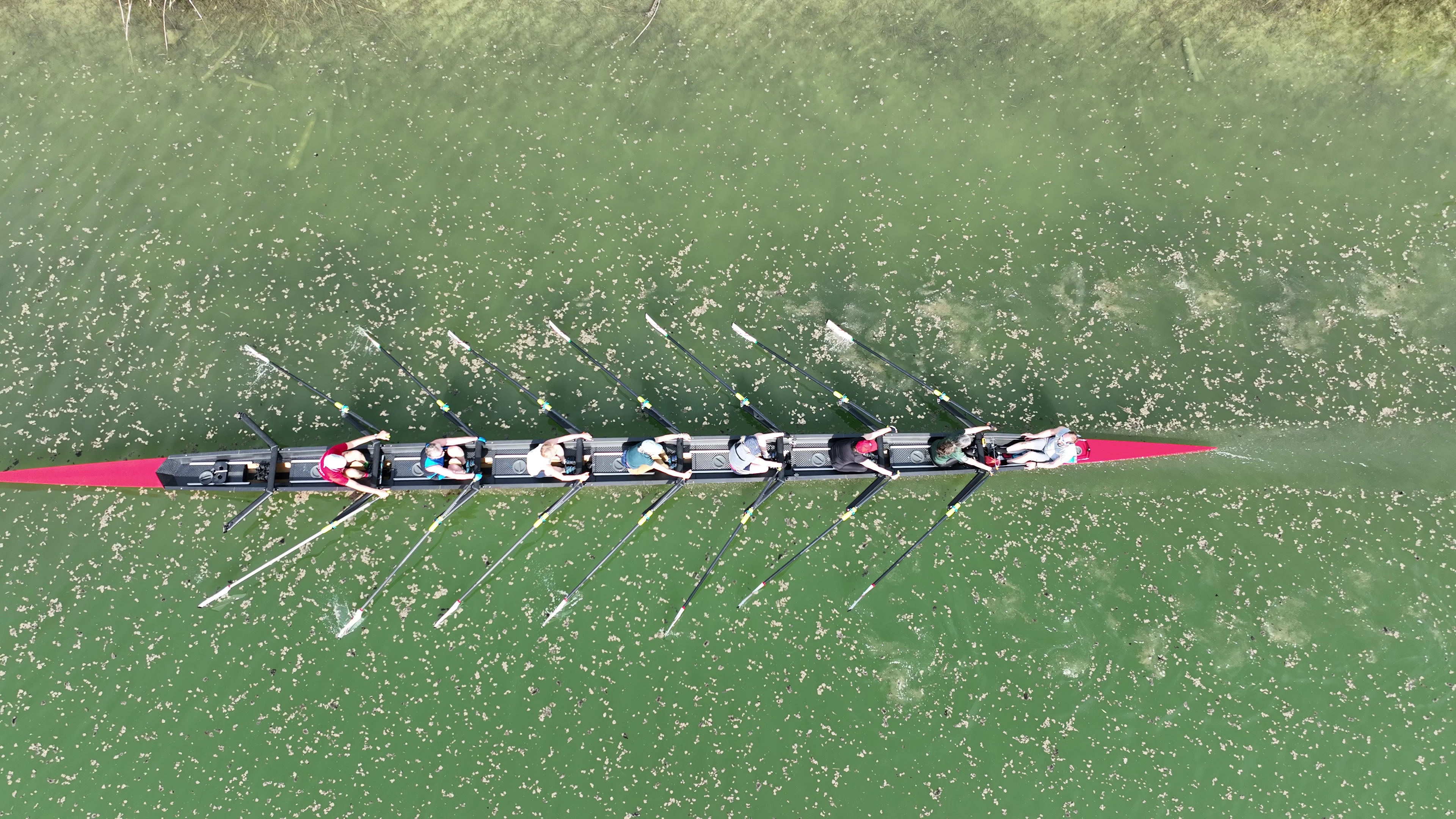 Mehr über den Artikel erfahren Zusammenfassung Webinar „Videoanalyse für jedermann/jederfrau“